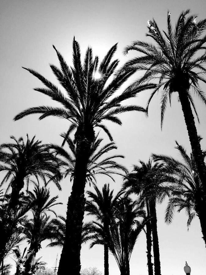 Alicante Ocean View Dış mekan fotoğraf